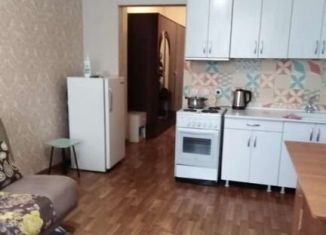 Сдам квартиру студию, 26 м2, Красноярск, улица Карамзина, 16