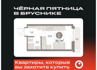 Продам квартиру студию, 20.7 м2, Екатеринбург, метро Чкаловская