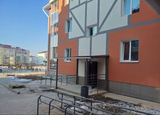 Продажа 2-ком. квартиры, 49 м2, Биробиджан, Уютная улица, 7