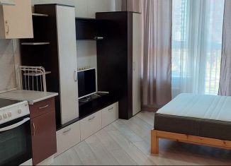 Сдается квартира студия, 26 м2, Москва, Красноказарменная улица, 14Ак2