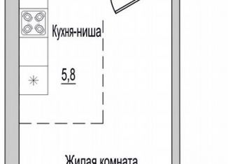 Продажа однокомнатной квартиры, 31 м2, Псковская область, улица Героя России Досягаева, 6