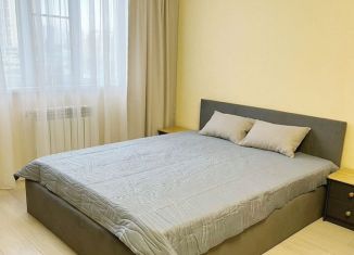 Сдам в аренду 1-ком. квартиру, 50 м2, Рязань, Брестская улица, 1