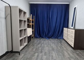 Сдаю в аренду 1-ком. квартиру, 30 м2, Пермь, улица Тургенева, 17