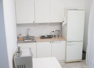 Сдается квартира студия, 20.8 м2, Татарстан, Дорожная улица, 25