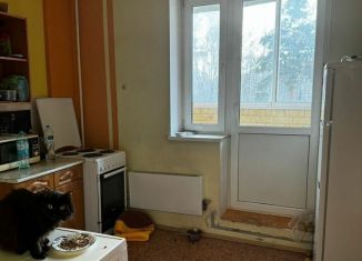 Сдача в аренду 2-комнатной квартиры, 56 м2, Московская область, Октябрьский проспект, 16