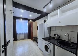 Продается квартира студия, 13.4 м2, Алтайский край, Малый Прудской переулок, 38