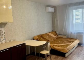 Сдаю квартиру студию, 26 м2, Ростов-на-Дону, переулок Андреева, 7