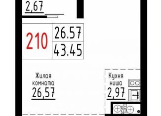 Продаю квартиру студию, 43.5 м2, Екатеринбург, метро Площадь 1905 года