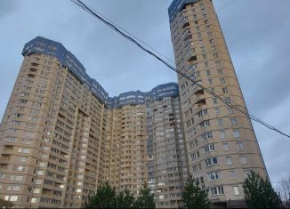 Сдаю однокомнатную квартиру, 33.5 м2, Санкт-Петербург, проспект Сизова, Приморский район