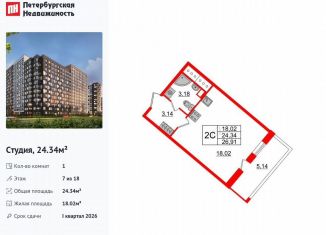 Продажа квартиры студии, 24.3 м2, Санкт-Петербург, метро Улица Дыбенко