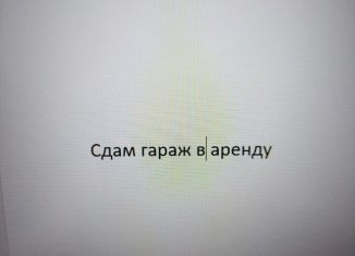 Сдача в аренду гаража, 18 м2, Алтайский край, улица Юрина, 182Б