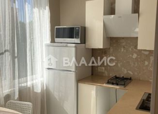 Продажа 1-ком. квартиры, 30 м2, Санкт-Петербург, Альпийский переулок, 7, Фрунзенский район