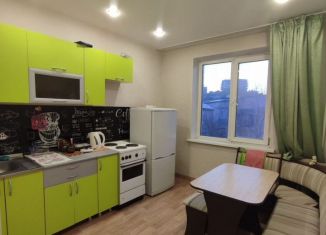 Аренда 1-ком. квартиры, 35 м2, Красноярск, улица Молокова, 31, Советский район