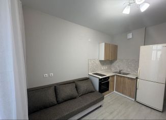 Сдаю 1-комнатную квартиру, 38 м2, Екатеринбург, улица Краснолесья, 96