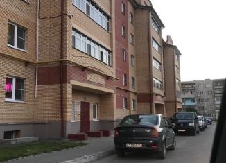 Сдается 1-комнатная квартира, 40 м2, село Ситне-Щелканово, Вишнёвая улица, 8