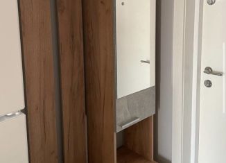 Сдача в аренду квартиры студии, 20 м2, Люберцы, улица Лётчика Ларюшина, 6к2, ЖК Жулебино Парк