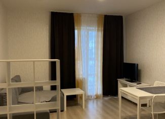 Сдаю в аренду квартиру студию, 35 м2, Пермь, улица Революции, 52В