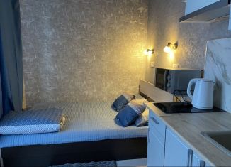 Квартира в аренду студия, 15 м2, Люберцы, улица 8 Марта, 48, ЖК Гоголь Парк