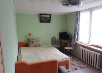 2-комнатная квартира в аренду, 45 м2, дачный посёлок Удельная, Железнодорожный тупик