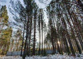 Продаю участок, 13 сот., поселок городского типа Емельяново, Лесная улица