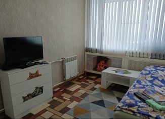 Однокомнатная квартира в аренду, 22 м2, Нижегородская область, улица Дружаева, 17