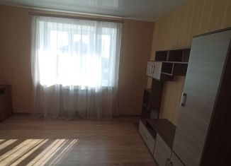 Сдача в аренду 1-комнатной квартиры, 46 м2, деревня Берёзовка, Кленовая улица, 5