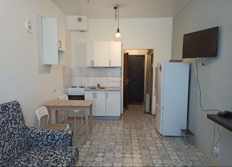 Сдаю в аренду квартиру студию, 23 м2, Сертолово, Пограничная улица, 4к2