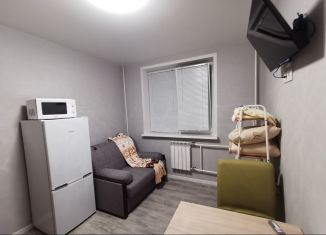Квартира в аренду студия, 13 м2, Москва, метро Боровское шоссе