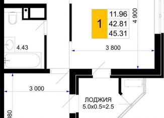 1-комнатная квартира на продажу, 45.3 м2, Краснодарский край