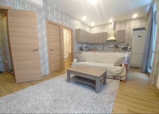 2-комнатная квартира на продажу, 44 м2, Санкт-Петербург, Новая улица, 51к2, муниципальный округ Лахта-Ольгино