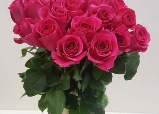 Продаю земельный участок, 14 сот., деревня Борисовичи