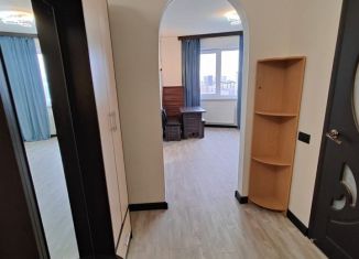 Сдам в аренду 1-комнатную квартиру, 45 м2, Новосибирск, улица Фрунзе, 230