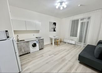 Аренда квартиры студии, 26 м2, Санкт-Петербург, Русановская улица, 20к3