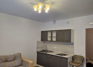 Квартира на продажу студия, 25.4 м2, деревня Новое Девяткино, ЖК Заречный Парк, Главная улица, 14