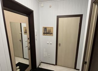 Сдача в аренду однокомнатной квартиры, 39 м2, Мурино, ЖК Ласточка, Петровский бульвар, 7