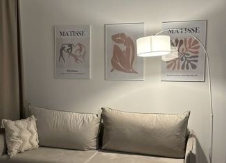 Сдаю квартиру студию, 27 м2, Люберцы, улица Лётчика Ларюшина, 4, ЖК Жулебино Парк