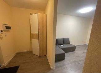 Сдается квартира студия, 26.2 м2, поселок Бугры, Тихая улица, 3к1, ЖК Новые Горизонты