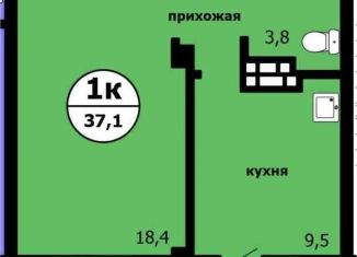 Продажа однокомнатной квартиры, 37.1 м2, Красноярск
