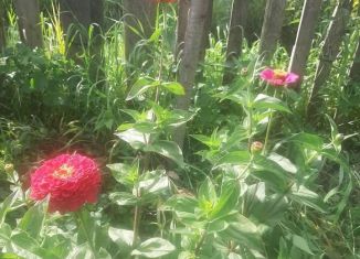 Продаю участок, 10 сот., посёлок городского типа Торбеево, Мокшанская улица