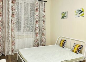 Сдам в аренду однокомнатную квартиру, 36 м2, Мурино, улица Шувалова, ЖК Гринландия-2