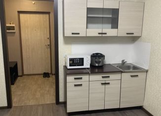 Квартира на продажу студия, 21 м2, Кудрово, Английская улица, 2, ЖК Вернисаж