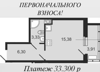 Продается квартира студия, 25 м2, Санкт-Петербург, набережная реки Каменки, 15к1, ЖК Френдс