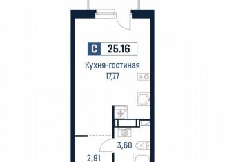 Продается квартира студия, 24.3 м2, Мурино