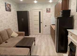 1-ком. квартира в аренду, 50 м2, Пятигорск, Кузнечная улица, 8