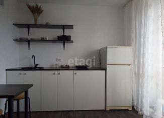 Квартира в аренду студия, 19 м2, Тюмень, Интернациональная улица, 199