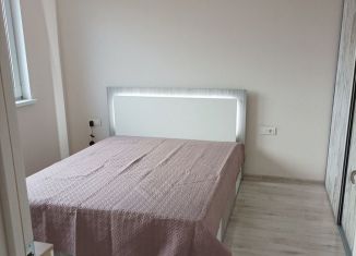 Аренда 1-ком. квартиры, 39 м2, Татарстан, Комсомольская улица, 1