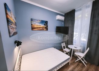 Сдается квартира студия, 18 м2, Москва, Бойцовая улица, 18к4, ВАО