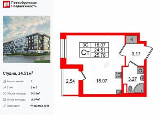 Продажа квартиры студии, 24.5 м2, Санкт-Петербург, муниципальный округ Пулковский Меридиан