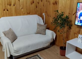 Дом в аренду, 110 м2, поселок Толстопальцево, улица Пушкина