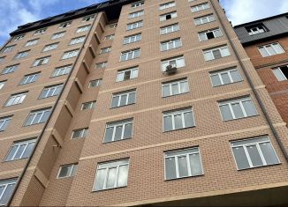 Продается 2-комнатная квартира, 815 м2, село Агачаул, Еловая улица, 11